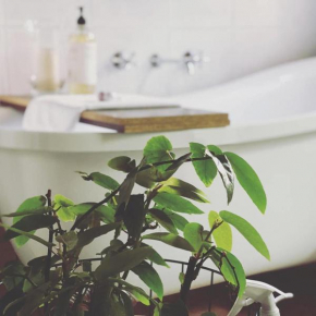 Treehouse Hideouts - Ground Level - Heygarth House Townhouse - Port of Echuca